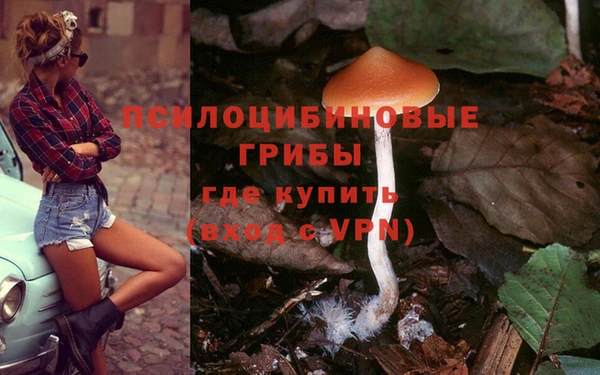 apvp Дмитров