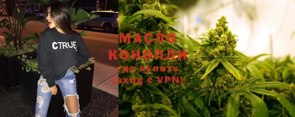 МДПВ Ельня