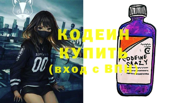 МДПВ Ельня