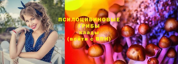 COCAINE Дмитриев
